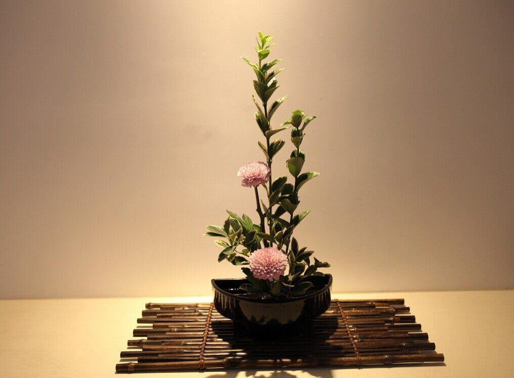 日本皇室御用的小原流花道