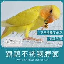 Flash Rabbit Parrot Stainless Steel Neck Set Foot Chain Octagon Foot Chain Station Shelf Bird Chain Bird Ring Tiger Leather Peony