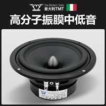 TMT Marton Tae St. HiFi class 5 inch speaker high quality hair burn grade home bass horn T-525YZ