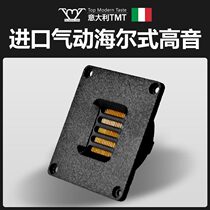 TMT Import Zhenfilm HiFi Hair Burning Grade Pneumatic Style Home Treble Horn Honeycomb diaphragm speaker HE-302