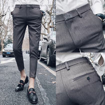 2022 new slim ankle pants men's Korean style fashion casual pencil pants online trendy handsome casual pants