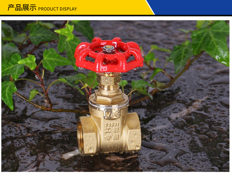 华龙巨水 全铜闸阀水表前阀门水管自来水开关水闸阀4分内螺纹dn25