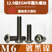 M6 Black Nickel Semi Circle 12 9 EGMISO 7380 High Strength Harding SCM435 Inner Hexagonal Screw Bolts