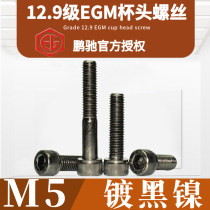 M5 black nickel cup head EGM-12 9 cylindrical head DIN912 high strength hardened SCM435 inner hexagonal screw