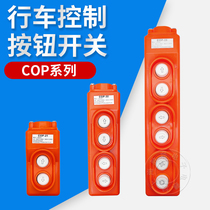 COP-21 direct control switch 250V voltage on the lower button to directly control the electric hoist