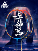 Pick badminton racket full carbon ultra-light and durable professional badminton set 5U and 4U resistant double single racket