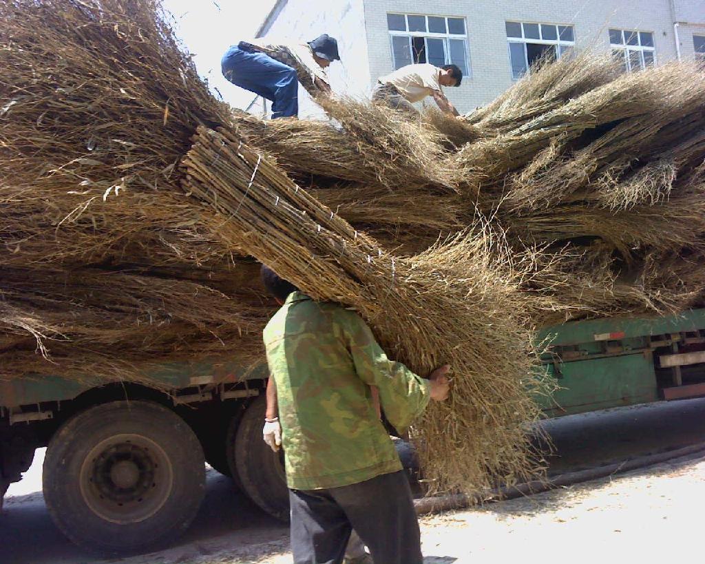 手工竹扫帚天然竹制大扫把环卫工厂小区物业家庭清洁扫帚包邮批发