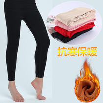 Warm pants women plus velvet padded winter trousers black flesh color lady seamless slim body double leggings