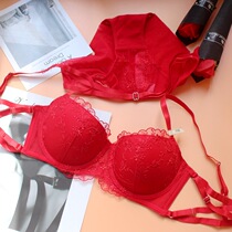 European and American pure red coalesseater pants female light extravagant high-end big code Sexy embroidered bra Benny year bra suit