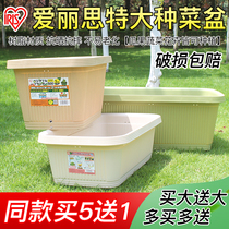 Alice resin lazy flower pot Alice eco-friendly vegetable fruit and vegetable high quality plastic rectangular planting pot vegetable pot