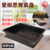 Alice S-5 Nursery Plate Alice Extra Large 510 Sprout Vegetable Plate Nursery Tray Nursery Storage Small Black Square