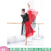 Classical dance vertical yarn culottes Modern belly dance practice pants Mesh sexy perspective wide-leg pants performance women
