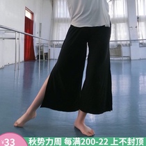 Loose side split dance pants Classical modern dance practice pants Nine-point teacher modal wide-legged long pants for men and women