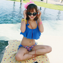 Korean ins swimsuit Female sense halter triangle bikini small chest steel bracket gathered thin hot spring split swimsuit