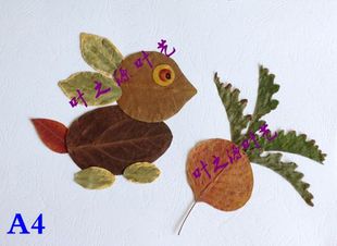 树叶标本贴画*树叶画*小兔子a4*图片