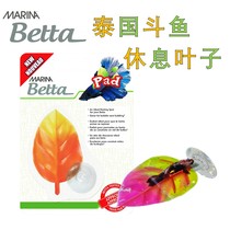 Canada HAGEN THAI BETTA FISH TANK Rest SPAWNING LEAVES SUCKER FIXED Green ORANGE