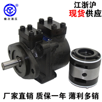 Tai heavy Yuci hydraulic Athos vane pump PFE-21005 21006 21008 21010 pump core pump bile