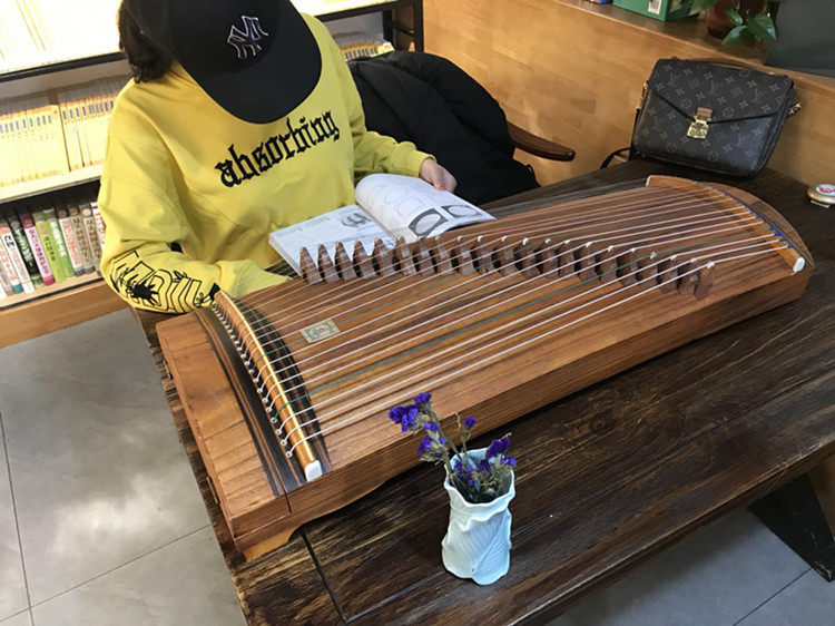 21弦迷你小古筝便携式半筝75cm 纯桐木 初学儿童成人练指器