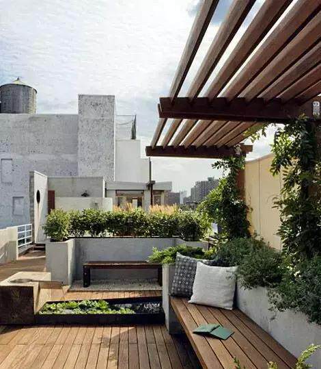 屋顶露台上种这些植物时尚又美观