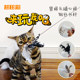 Tiantian 고양이 긴 막대 강철 와이어 깃털 재미 있은 고양이 스틱 교체 머리 고양이 용품 고양이 장난감 물린 내성 고양이 장난감 고양이 용품 Tiantian 고양이 긴 막대 강철 와이어 깃털 재미 있은 고양이 스틱 교체 머리 고양이 용품 고양이 장난감 물린 내성 고양이 장난감 고양이 용품