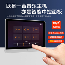 Graffiti smart home background music controller host ceiling Horn set voice switch light control panel X6