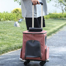 Pet Backpack Autumn Winter Breathable Cat Bag Outgoing Bag Teddy Foldable Portable Double Shoulder Bag Dog Backpack Cat Backpack