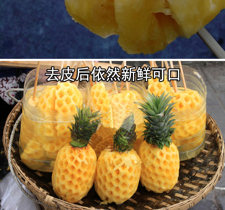 新鲜大菠萝越南菠萝香水熟菠萝泰国品种凤梨水果除味9