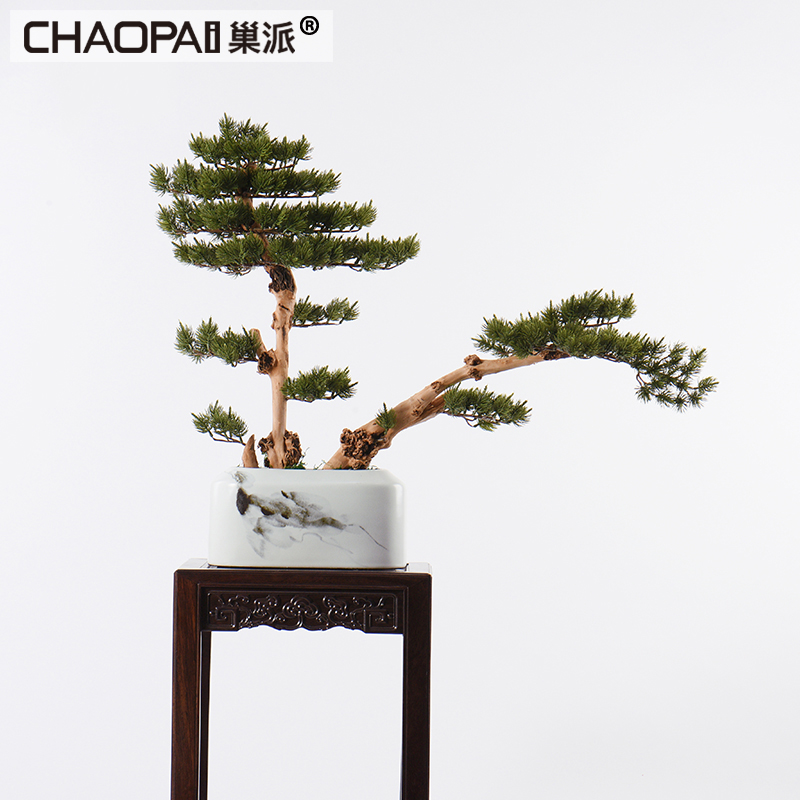 Modern Chinese style white ceramic vase simulation soft adornment guest - the greeting pine bonsai furnishing articles the hotel floor lobby