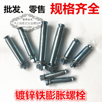 Galvanized Carbon Steel Metal Expansion Screw Heavy Duty Iron Expansion Heavy Duty Long Pull Bolt M6M8M10-M20