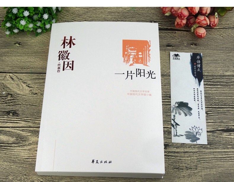 展示与对比:林徽因代表作 一片阳光 全本 林徽因小传 散文 小说 诗歌
