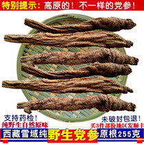 Dang Shen premium Tibetan wild Dang Shen original root non-Gansu sweet grain Lu Dang should be paired with astragalus angelica soup and soak in water