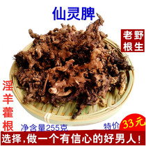 Kinky silver sheep Ageratum wild Chinese herbal material Fairy spleen root tea 255g mens brewing wine helps yang quality than wild golden Sakurako