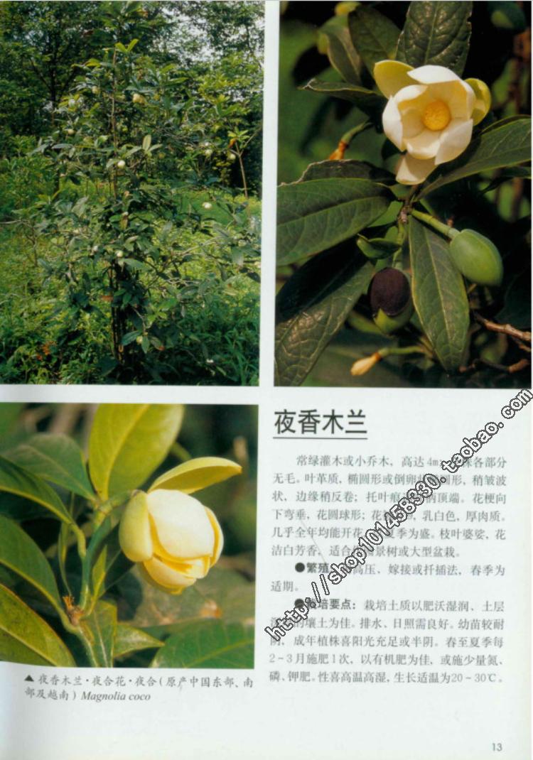 园林景观植物资料大全植物配置分类图鉴植物习性用途