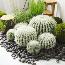 Nordic simulated cactus potted ornaments, fake green plant bonsai, tropical desert soft decoration clothing store window landscaping