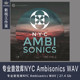 NYC Ambisonics 도시 환경 분위기 사운드 효과 영화 및 텔레비전 게임 사후 제작 사운드 재료 광고 NYC Ambisonics 도시 환경 분위기 사운드 효과 영화 및 텔레비전 게임 사후 제작 사운드 재료 광고