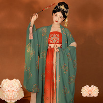 Hanfu female Chinese style ancient costume Fengyuan Chuangtang Han clothing female original Tang Fengzi skirt big sleeve shirt silk suit