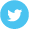 index-icon-twitter