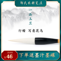 Yilan Yulan Zous farming pen village plus Jian Yangshao Xingshu regular script painting flowers and birds freehand painting professional brush