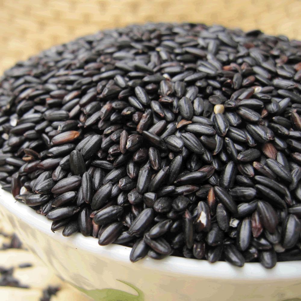 东北特产黑米500g一斤黑的米 农家自产黑香米【全店任选5斤包邮】