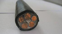 Zhongcheng cable low smoke halogen-free WDZB-YJY4*25 1*16 square national standard copper core foot rice