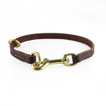 PETCARE pet dog rope Pet collar Dog collar traction rope brass buckle head multi-purpose golden retriever German shepherd