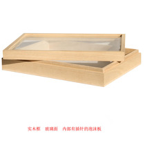 Insect Specimen Making Contest Recommendation Made With Specimen Box Butterfly Specimen Making Tool Suit Beetle Specimen Production