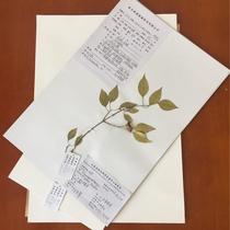 Wax Leaf Specimen Making Tool Plant Specimen Making Special Table Paper A3 A4 Cardboard Can Be Billed