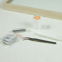 Insect Specimen Making Tool Suit Solid Wood Specimen Case Tweezers Embalming Camphor Block Desiccant Insect Glue