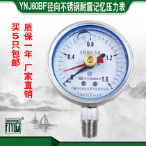 Wuxi Feitian FTYLB direct sales YNJ60BF1 6mpa shock resistant stainless steel memory double needle pressure gauge