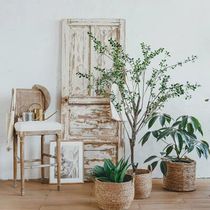 Childrens Real View Making photo studio Furnishing Photos for Authentic Wedding Dress Shop 2021 New Shimmery Shack Studios