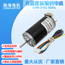 Factory direct 3162 type permanent magnet DC Hall encoder code disc motor large torque high power 6V12V24V