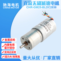 Factory direct GM25BLDC2838 DC brushless geared motor large torque long life motor 12V24V