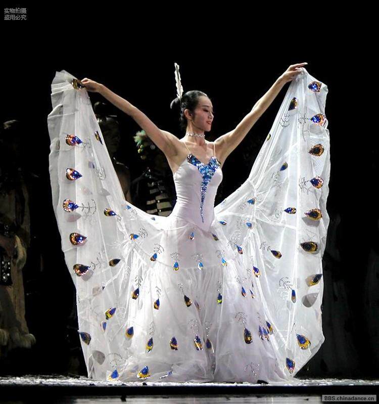 孔雀舞蹈演出服傣族服装孔雀裙服装孔雀舞雀之灵] 此款衣服支持定做