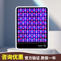 SEAYEO Large Lamp Household with Facial Beauty Instrument Photonic Tension Instrument for Red Blue and Blue Acne Refinery